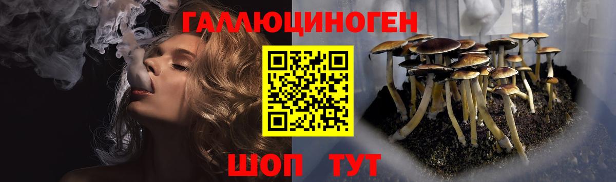 Шали  Псилоцибиновые грибы Cubensis  Вход с VPN  Псилоцибиновые грибы Psilocybine cubensis 